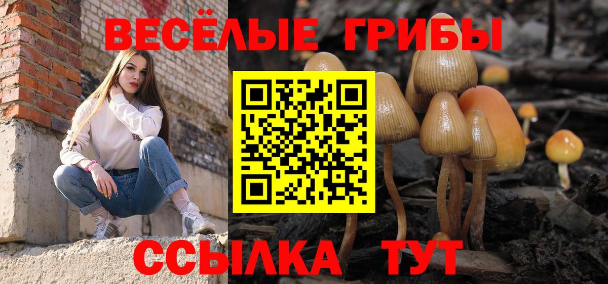 Галлюциногенные грибы мухоморы  Вход с VPN  Калининград 